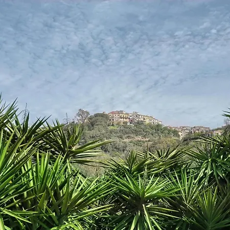 Monolocale In D'epoca דירה קאפוליברי